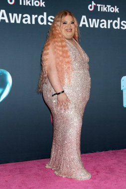 Jools Lebron, TikTok Ödülleri 'nde Hollywood Paladyumu' nda 18 Aralık 2025, Los Angeles, CA