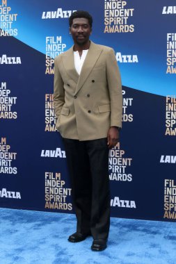 James Udom, 15 Şubat 2026 'da Hollywood Paladyumu' nda 41. Bağımsız Ruh Ödülleri 'nde.