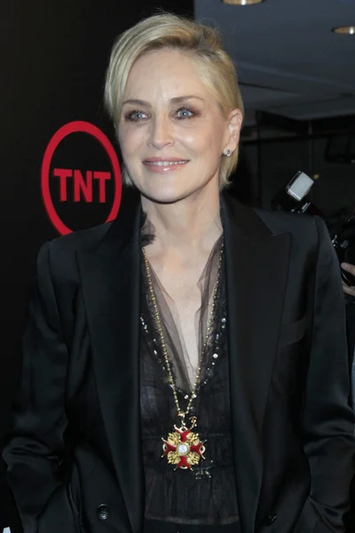 Színésznő sharon stone — Stock Fotó