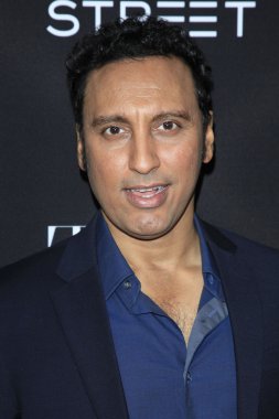 Aktör Aasif Mandvi