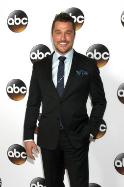 aktör Chris Soules