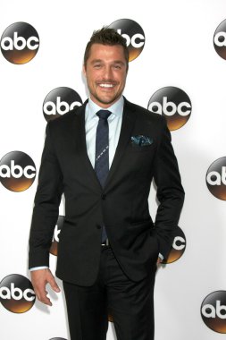aktör Chris Soules