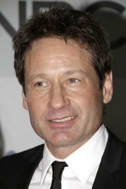 aktör david duchovny