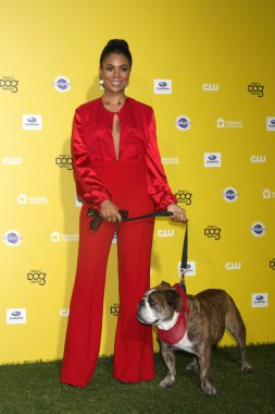 Regina Salonu, Zeuss