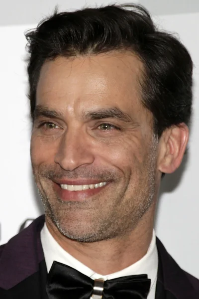 Actor Jonathon Schaech — Stock fotografie