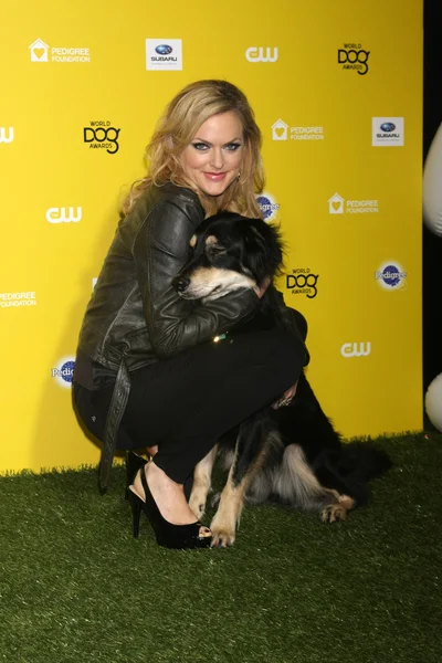 Los Angeles Jan Elaine Hendrix Tiloc Network Apresenta World Dog — Fotografia de Stock