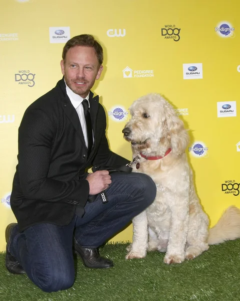 Ian Ziering, Sparky —  Fotos de Stock