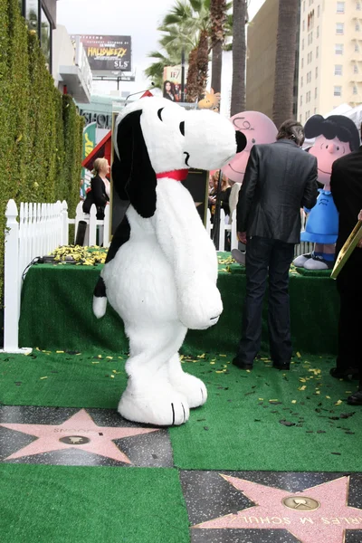 Snoopy Hollywood Walk of Fame Ceremony — Stock fotografie