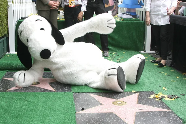 Snoopy Hollywood Walk of Fame Ceremony — Stock fotografie