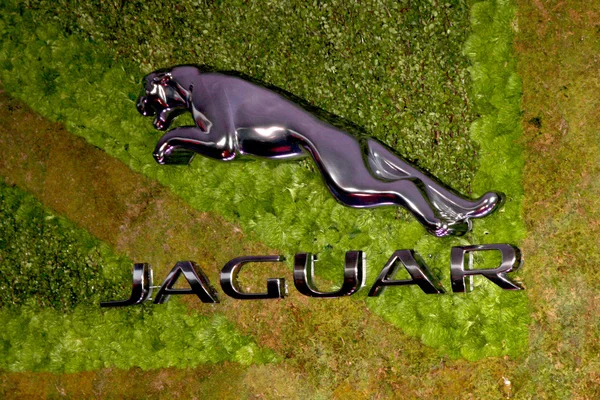 Jaguar Atmosphere view — ストック写真