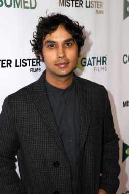 aktör Kunal Nayyar
