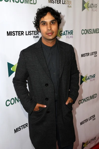 Acteur Kunal Nayyar — Photo