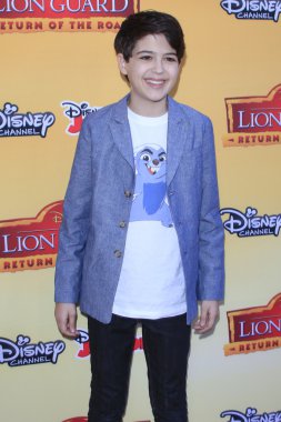 aktör Joshua Rush