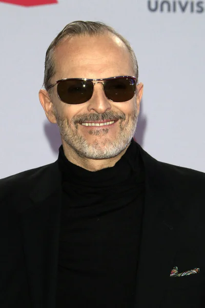 Actor Miguel Bose — Stok fotoğraf