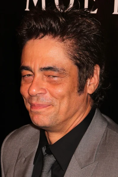 Actor Benicio Del Toro — Stock Photo, Image