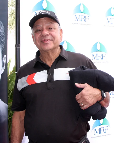 Actor Cheech Marin — Stock fotografie