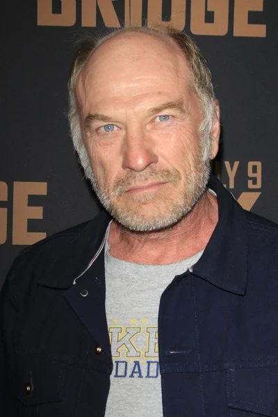 Actor Ted Levine — 图库照片