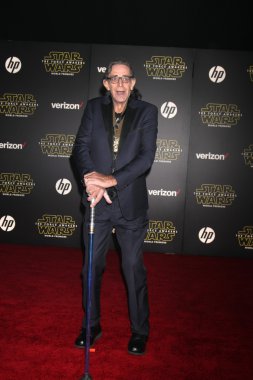 actor Peter Mayhew