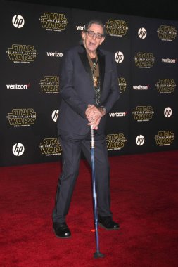 actor Peter Mayhew