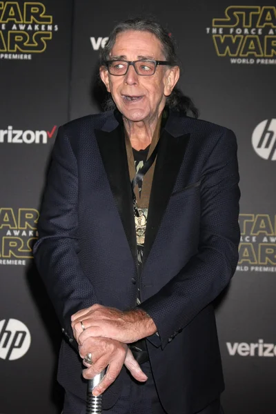 Actor Peter Mayhew —  Fotos de Stock