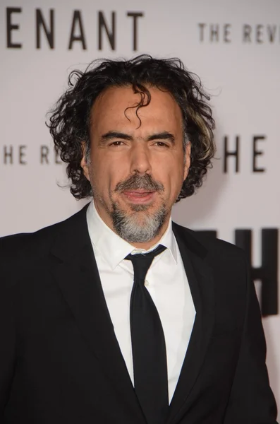 Alejandro González Inarritu — Foto de Stock