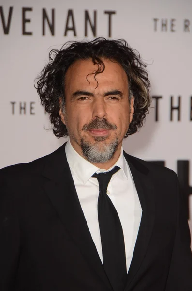 Alejandro González Iñárritu — Stock fotografie