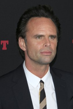 aktör Walton Goggins