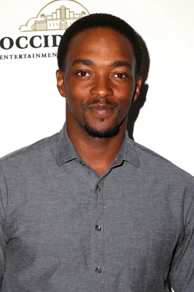 Actor Anthony Mackie — Stock Photo, Image