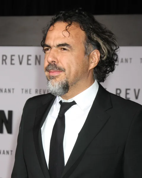 Alejandro Gonzalez Inarritu — Stock Photo, Image