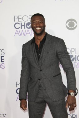 aktör Aldis Hodge