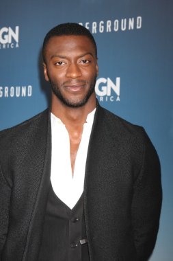 aktör Aldis Hodge