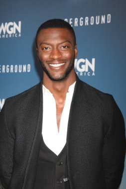 aktör Aldis Hodge