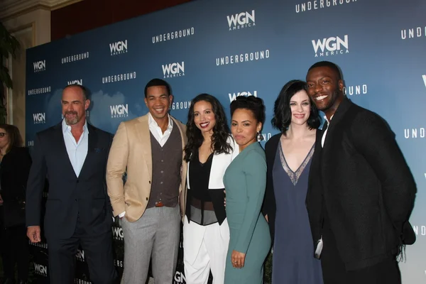 Christopher Meloni, Alano Miller, Jurnee Smollett-Bell, Amirah Vann, Jessica de Gouw, Aldis Hodge — Stock Photo, Image