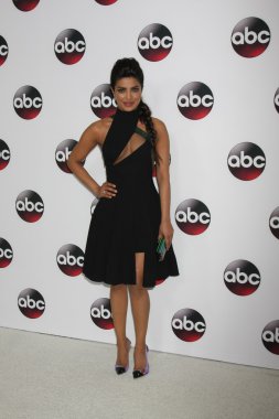 Aktris Priyanka Chopra