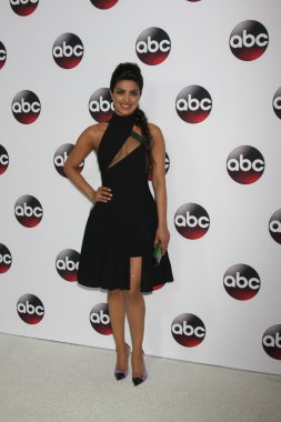 Aktris Priyanka Chopra