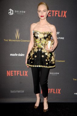 Aktris Kate Bosworth