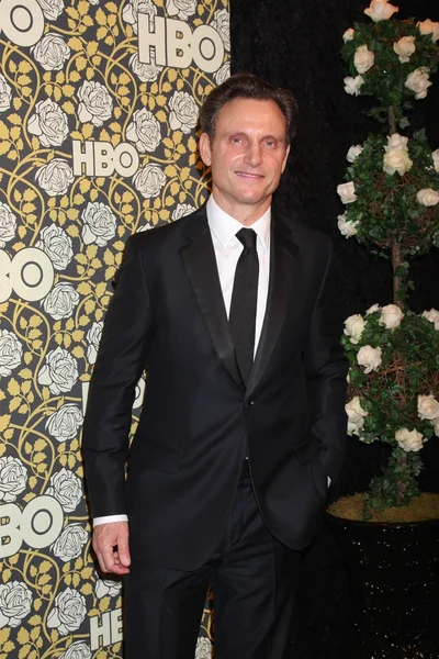 Actor Tony Goldwyn —  Fotos de Stock