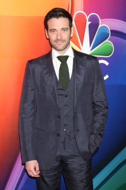 aktör Colin Donnell