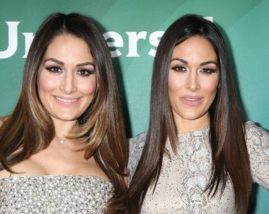 Nikki Bella, Brie Bella