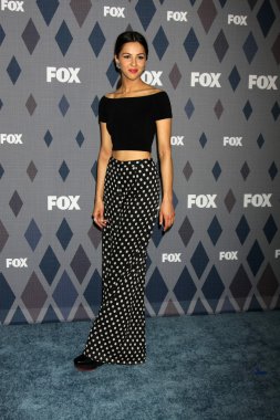 Aktris Annet Mahendru