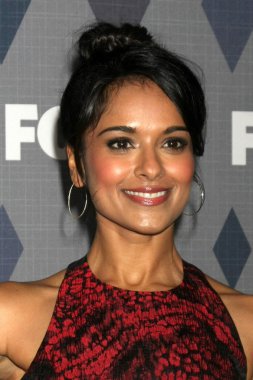 actress Dilshad Vadsaria