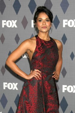 actress Dilshad Vadsaria