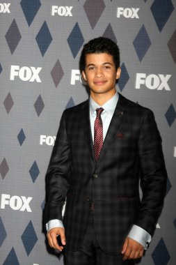 aktör Jordan Fisher