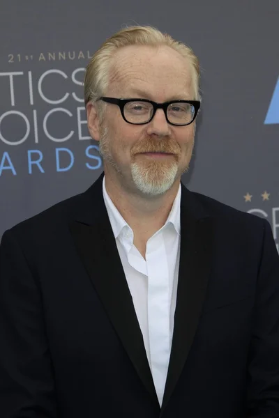 Ator Adam Savage — Fotografia de Stock