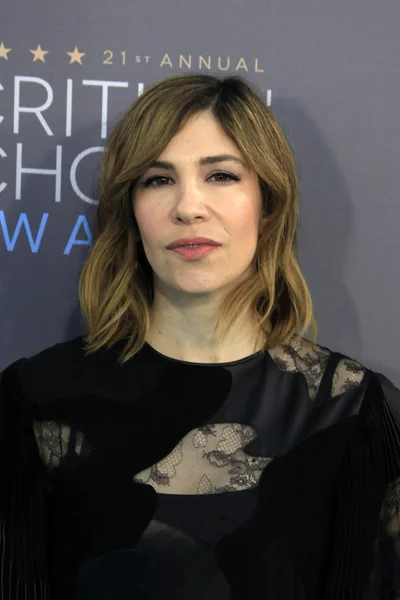 Actrice Carrie Brownstein — Photo