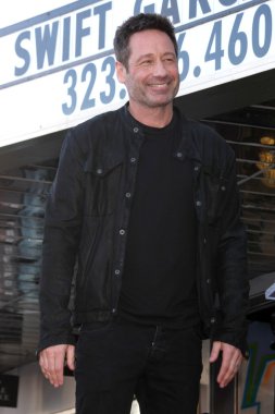 aktör david duchovny