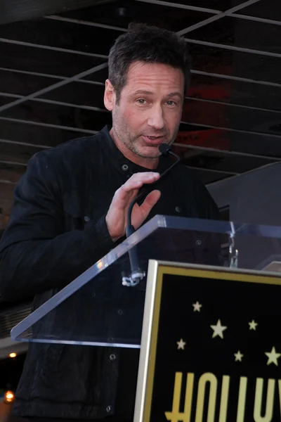 Ator David Duchovny — Fotografia de Stock