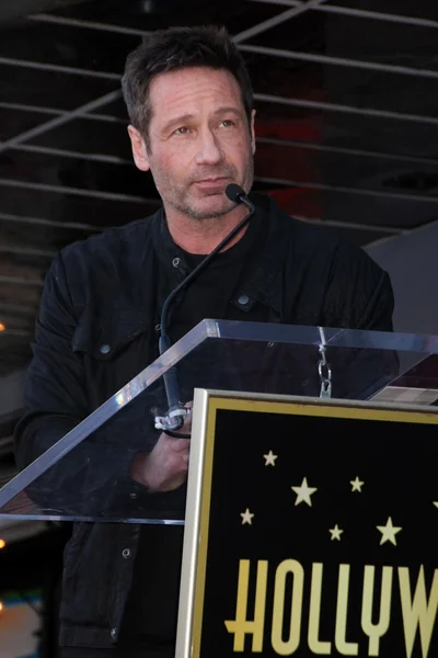 Herec david duchovny — Stock fotografie