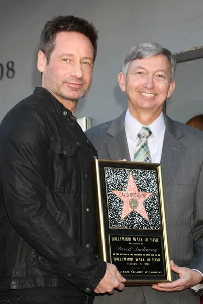 David Duchovny, Leron Gubler — Stockfoto