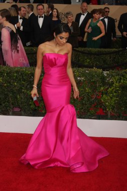 oyuncu Diane Guerrero